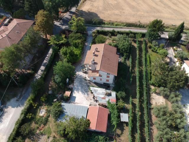 B&B La Mimosa Spello Exterior foto
